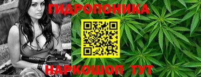 таблы Майкоп